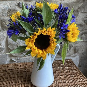 Sunflowers and Agapanthus