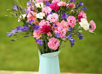 Cornish Pinks and Brodiaea bouquet featuring Pinks in shades of pink and white and blue Brodiaea. Vase not included.