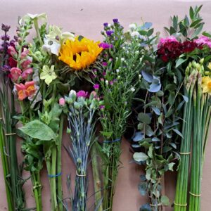 Image of fresh cut flowers which make up a Seasonal box of British Cut Flowers from October. Flowers are shown in bud, arranged in bunches and include Scented Narcissi Sweet William, Verbena, Snapdragons, Nicotiana, Sunflower, scented Pinks and Michaelmas Daisies. Foliage bunch shown includes Eucalyptus and Pittosporum.