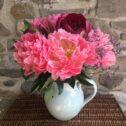 Peonies in mixed shades of pinks. Vase not included.
