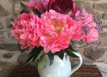 Peonies in mixed shades of pinks. Vase not included.