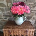 Peonies in mixed shades of pinks. Vase not included.