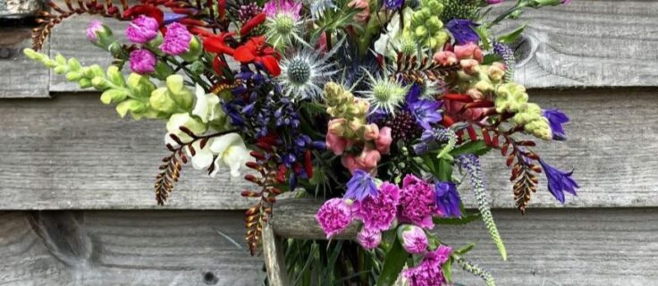 Hand Tied 100% British Posy available as a subscription. Images show posy from Early July featuring Snapdragons, Agapanthus, Pinks, Alliums, Verbena, Crocosmia, Eryngium and Veronica.