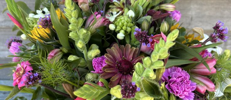 Close up of a Hand Tied 100% British Posy available as a subscription. Images show posy from September featuring Snapdragons, Zinnia, Ornithogalum, Nicotiana, Sunflowers, Pinks, Verbena and Nigella.