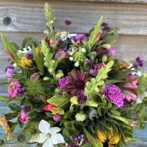Close up of a Hand Tied 100% British Posy available as a subscription. Images show posy from September featuring Snapdragons, Zinnia, Ornithogalum, Nicotiana, Sunflowers, Pinks, Verbena and Nigella.