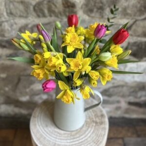Daffodils and Tulips