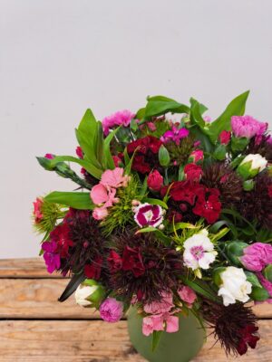 A close up of a bunch of Cornish Scented Pinks & Sweet William in shades of Pink, white, reds and purples.