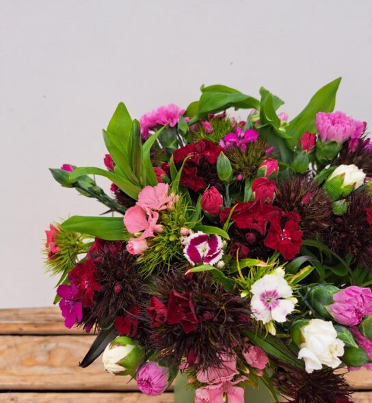 A close up of a bunch of Cornish Scented Pinks & Sweet William in shades of Pink, white, reds and purples.