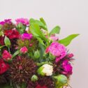 A close up of a bunch of Cornish Scented Pinks & Sweet William in shades of Pink, white, reds and purples.