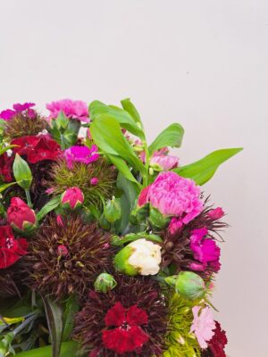 A close up of a bunch of Cornish Scented Pinks & Sweet William in shades of Pink, white, reds and purples.