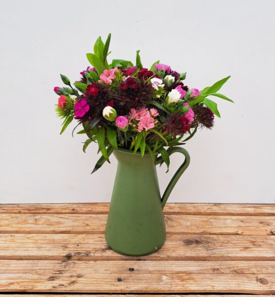A bunch of Cornish Scented Pinks & Sweet William in shades of Pink, white, reds and purples. Vase not included.