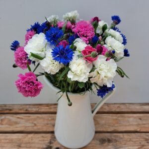 Scented Pinks and Cornflower