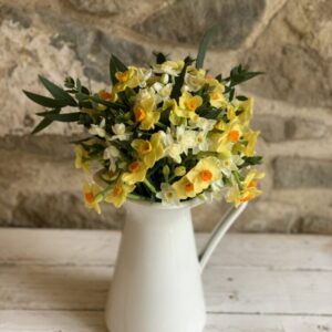Cornish Scented Narcissi